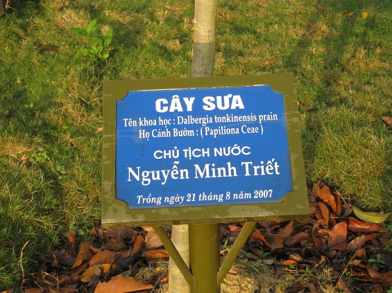 Chủ tịch nước trồng cây sưa đỏ lưu niệm Chủ tịch nước trồng cây sưa đỏ lưu niệm