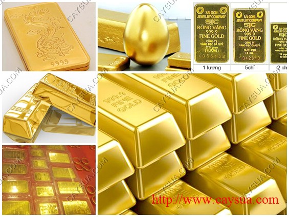 Giá trị của gỗ Sưa đỏ có thể so sánh ngang vàng Giá trị của gỗ Sưa đỏ có thể so sánh ngang vàng